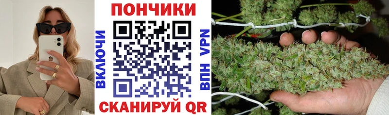 где купить наркоту  Нягань  Бошки Шишки гибрид 